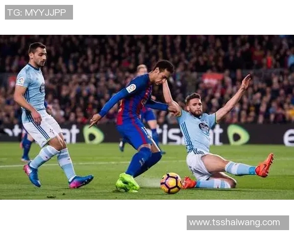 猫咪与足球明星的奇妙联系揭秘你不知道的趣事与故事