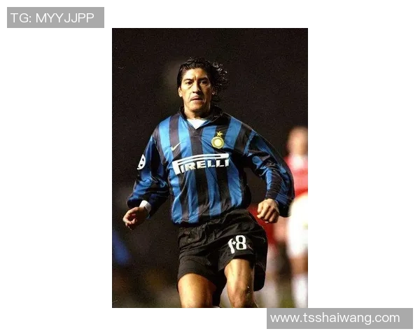 瑞典足球传奇90年代明星球员全名单及其辉煌成就回顾